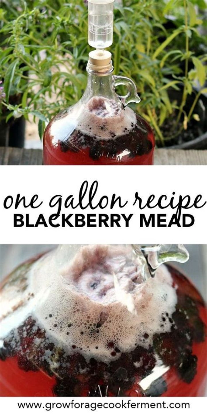 Blackberry Mead One Gallon Recipe