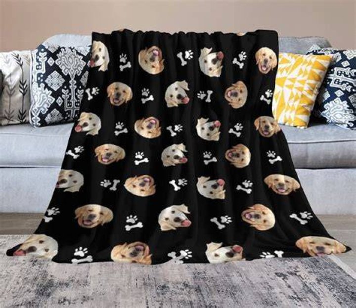 Blanket With Dogs Face - Questions