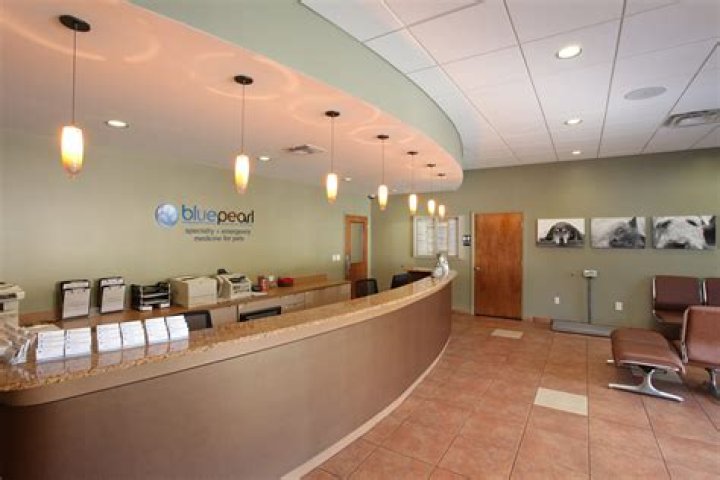 Blue Pearl Veterinary Hospital Precise Construction