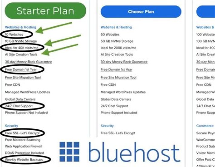 Bluehost plan info