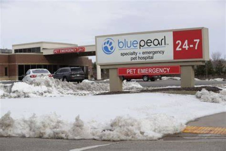 BluePearl Pet Hospital Fox Valley, Appleton, WI Emergency Vet