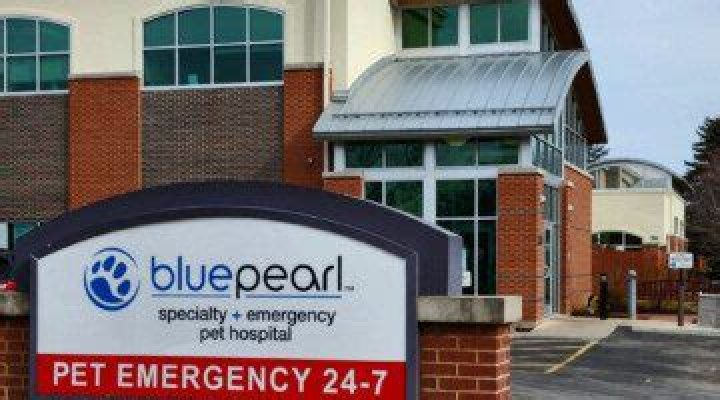 BluePearl Pet Hospital Glendale, WI Emergency Vet