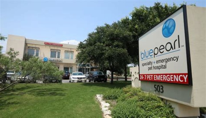 BluePearl Pet Hospital Katy, TX Emergency Vet