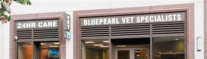 BluePearl Pet Hospital Queens, NY Emergency Vet