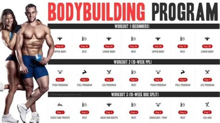 Body Building Workout And Diet Plan Bradly Cooper Workout and Diet Plan