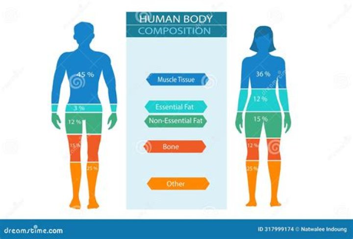 Body Composition, Gscteen
