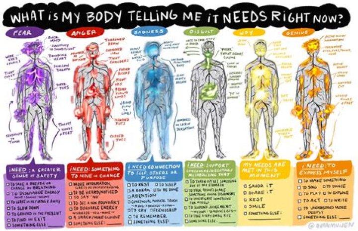 Body Image, Fashytrend