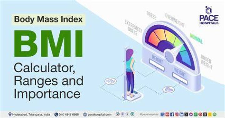Body Mass Index (BMI), Phillblog-gpt