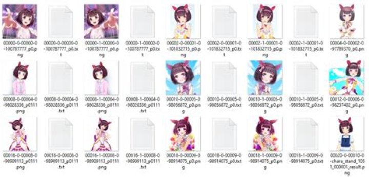 Boorudatasettagmanager