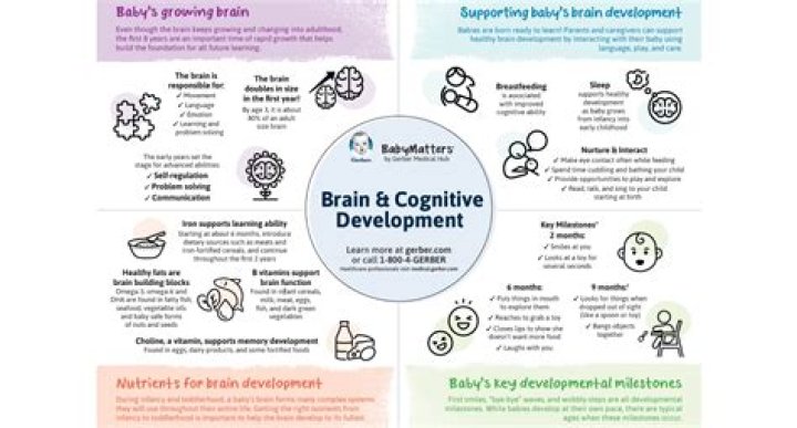 Brain Development, Gscthree
