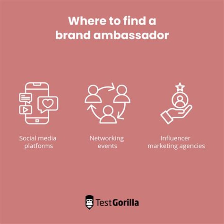 Brand Ambassador, Flexhacks