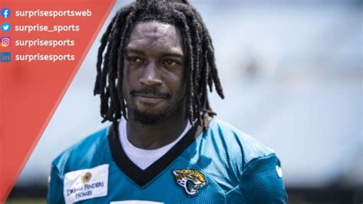 Calvin Ridley Net Worth 2024 Earnings, Salary, Age & Wife