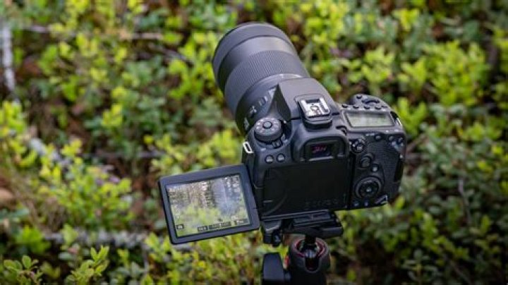 camera