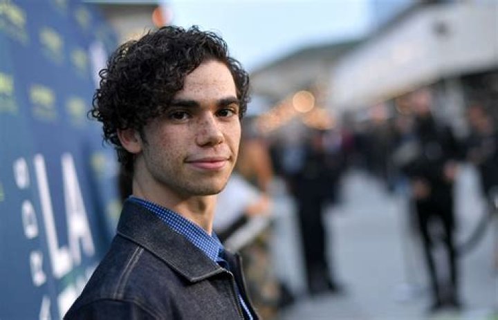 Cameron Boyce's Brothers: A Look Into Their Lives And Careers