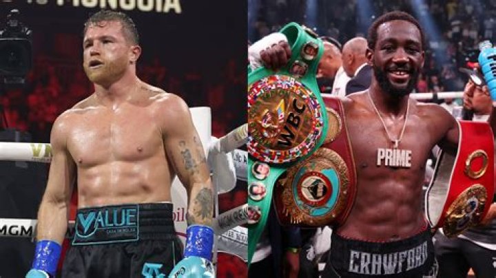 Canelo Alvarez's Impressive Record: A Boxing Legend's Journey
