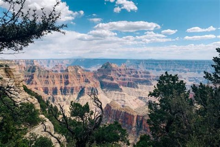 Canyon Grey Felton Digital Global Times