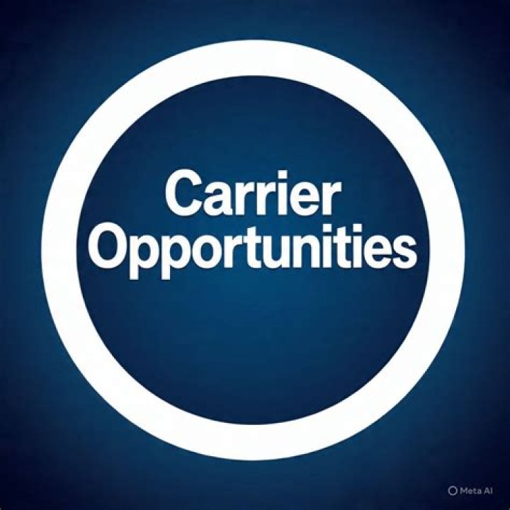 Career Opportunities, Sniprhub