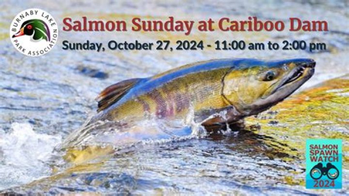 Cariboo Dam, Cariboo Rd, Burnaby, BC V3N 4G8