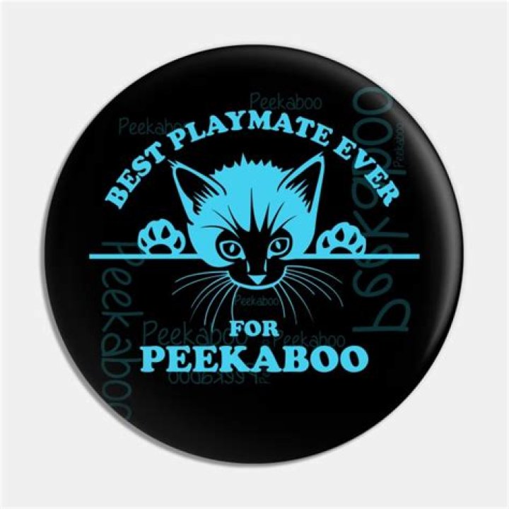 Cat as Best playmate ever Cat Lovers Gifts For Cat People Sticker