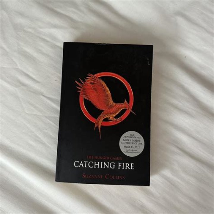 Catching Fire by Susanne Collins