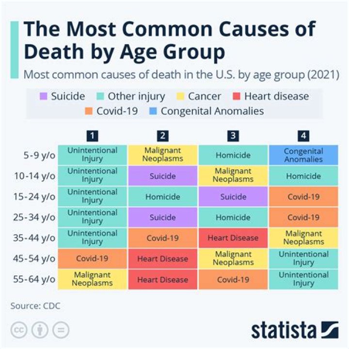 Cause Of Death, Gscfour