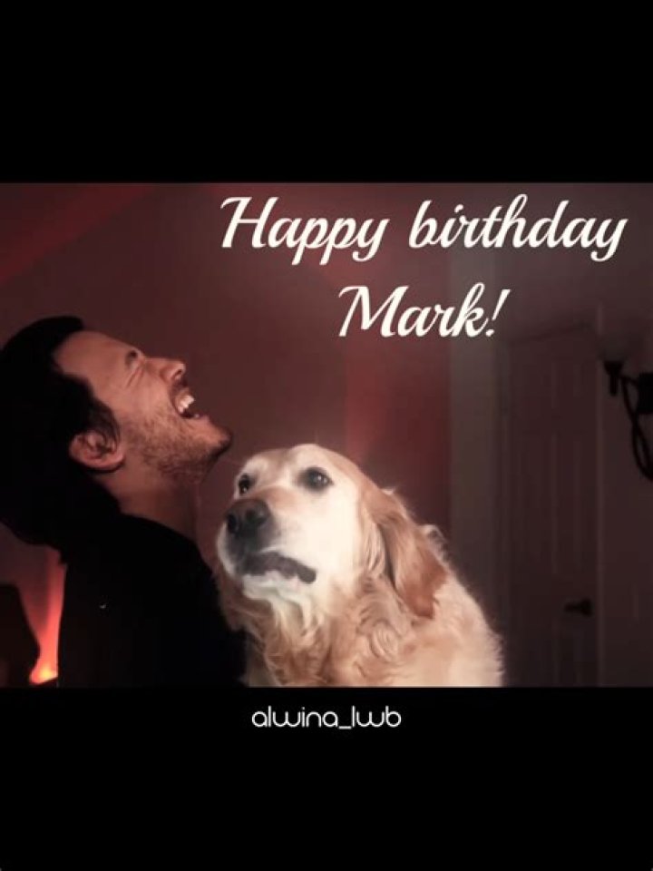 Celebrating Markiplier's Birthday 28 Years and Counting!