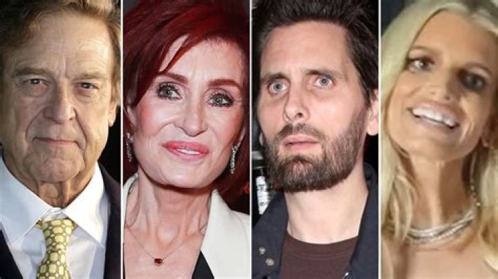 Celebrity (or Celebrities) With the Best (Alleged) Plastic Surgery r