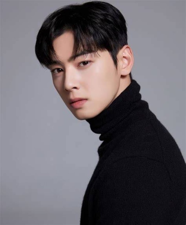 Cha Eunwoo Engages: Latest Updates On His Relationship Status