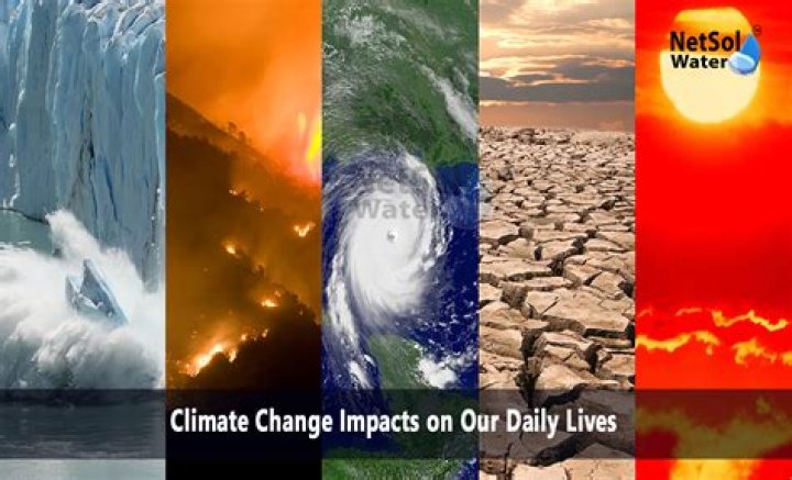 Change, Globalinsightnet