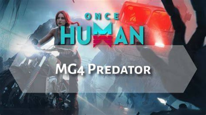 Characteristics of a human predator