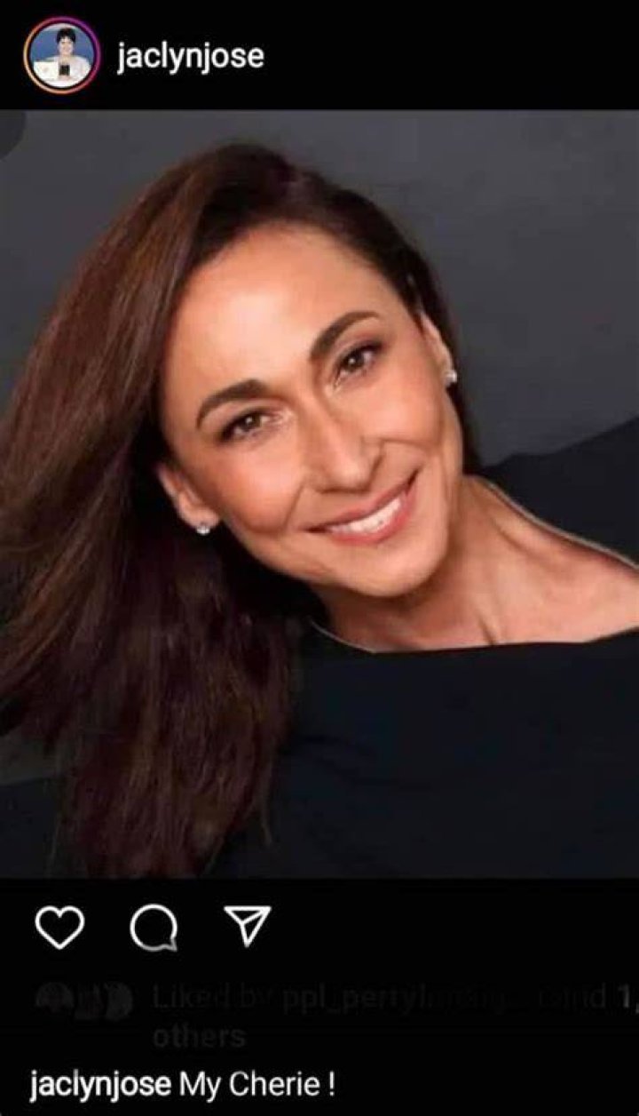 Cherie Gil, Leo Martinez son Jay Eigenmann is based in the U.S. PEP.ph