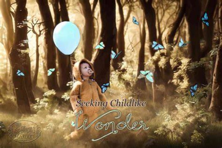Childlike Wonder, Fashytrend