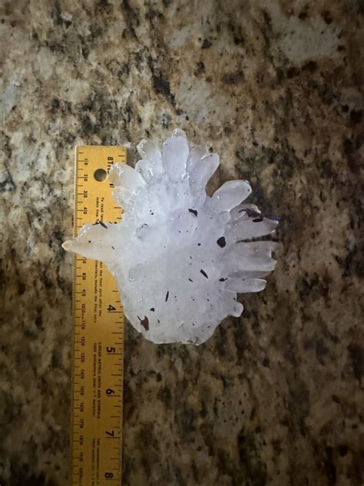 Chip hailstone head injury pmazgard