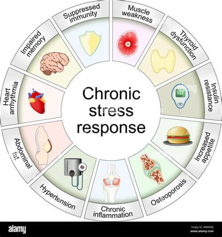 Chronic Stress, Culinarychronicleshub