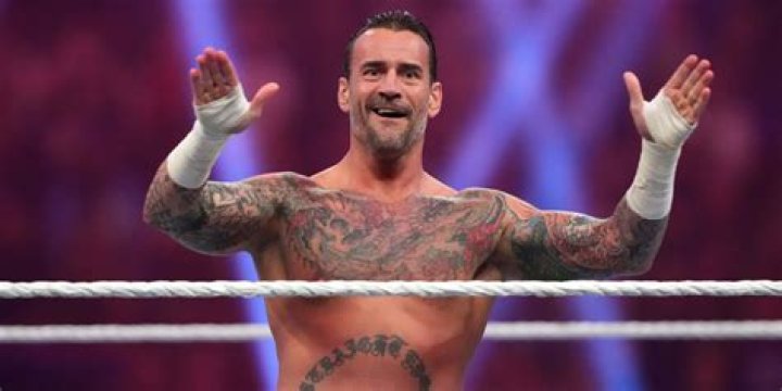 CM Punk's Loss At UFC 225 Overturned