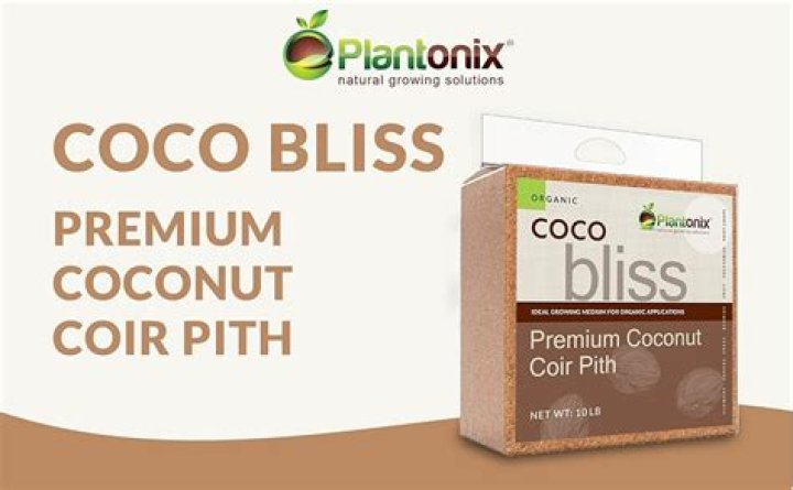 CoCo Bliss 🦋