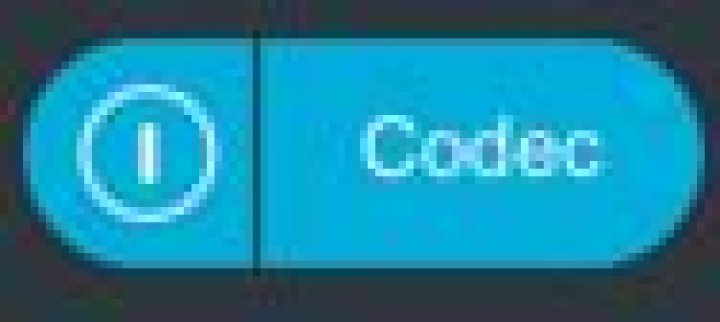 Codec Preview button in Auditioning section