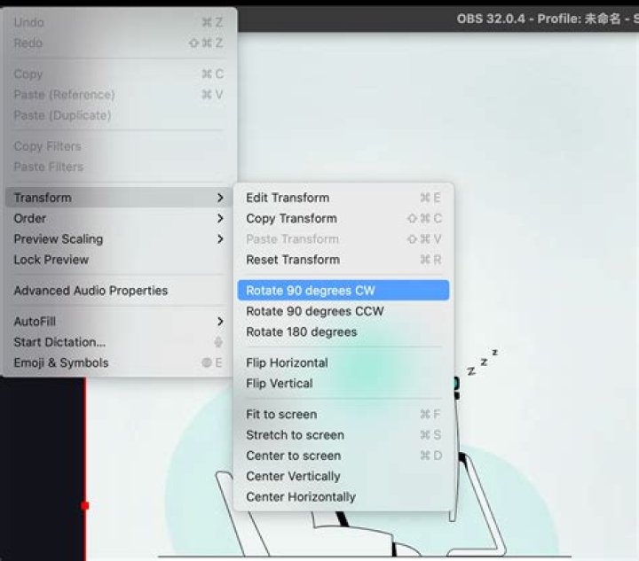 Codec Preview enabled