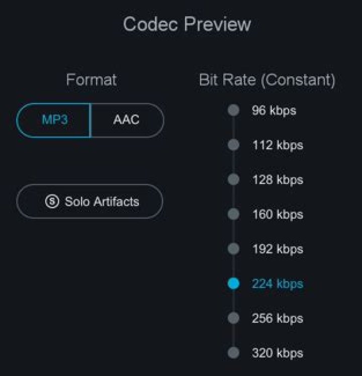 Codec Preview panel controls