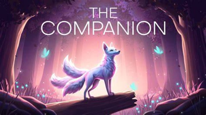 Companion, Homeharmonyhaven