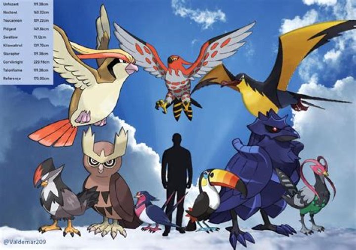 Comparison To Birds, Fashytrend