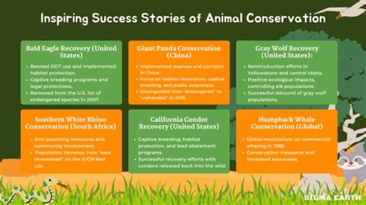 Conservation, Culinarychronicleshub