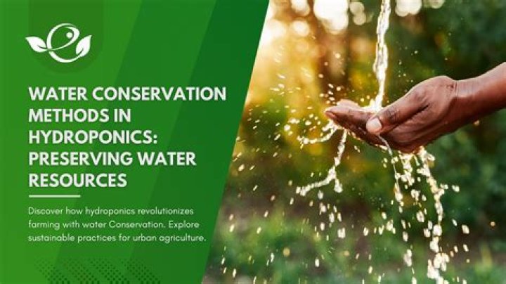 Conservation, Fashytrend