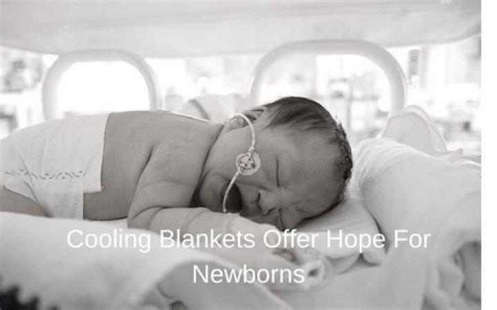 cooling blanket nicu cost