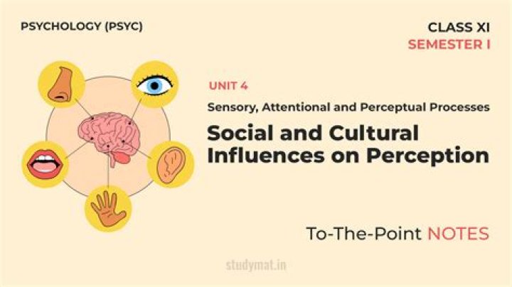 Cultural Perception, Roma4ribu