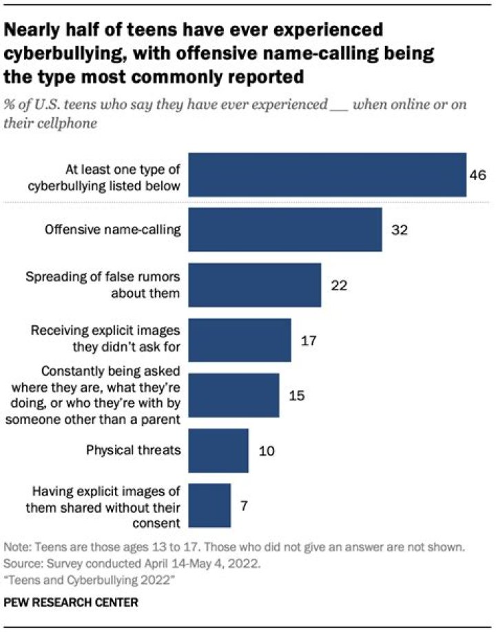 Cyberbullying, Fashytrend