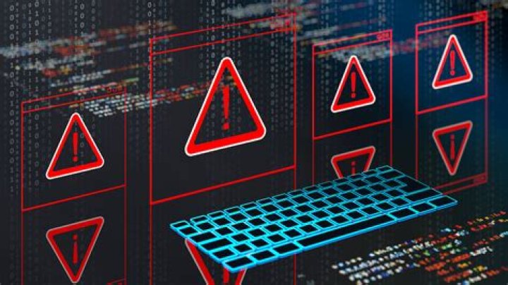 Cybersecurity Failure, Webshubz
