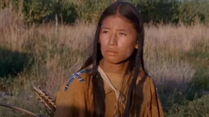 Dances With Wolves star Nathan Chasing Horse arrested on suspicion of