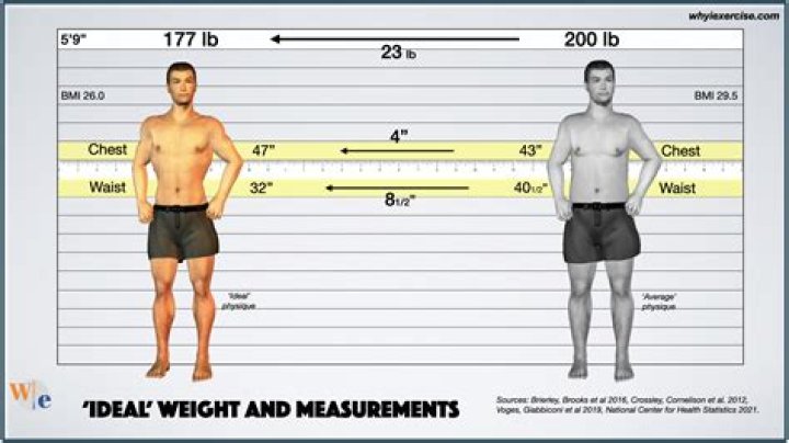 Dave Franco body measurements. His height, weight and dress size to the