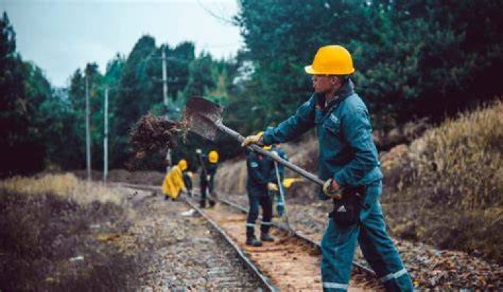 De trabajadores agr&iacute;colas a revelaci&oacute;n de la m&uacute;sica mexicana 60 Los